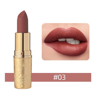 Vinciner Matte Lipstick shade 1456c03